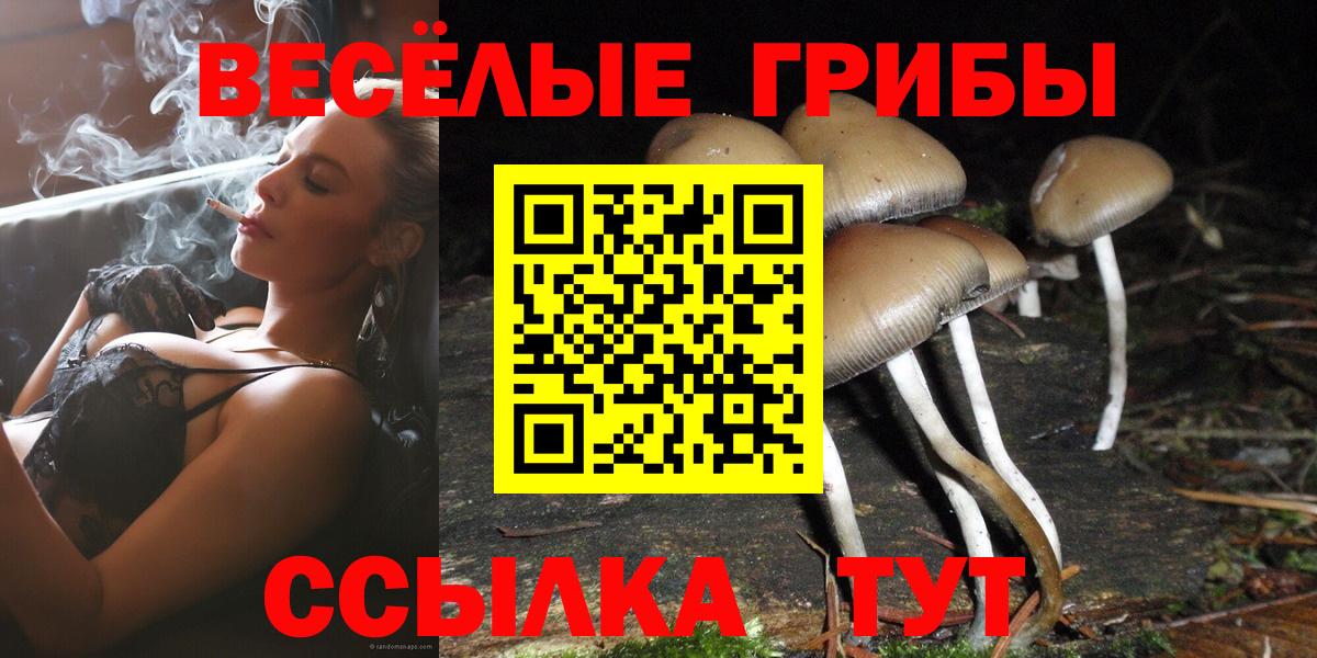 Псилоцибиновые грибы ЛСД Златоуст