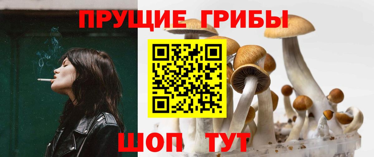 Златоуст  Галлюциногенные грибы Cubensis  Вход с VPN  цена   Галлюциногенные грибы мухоморы 